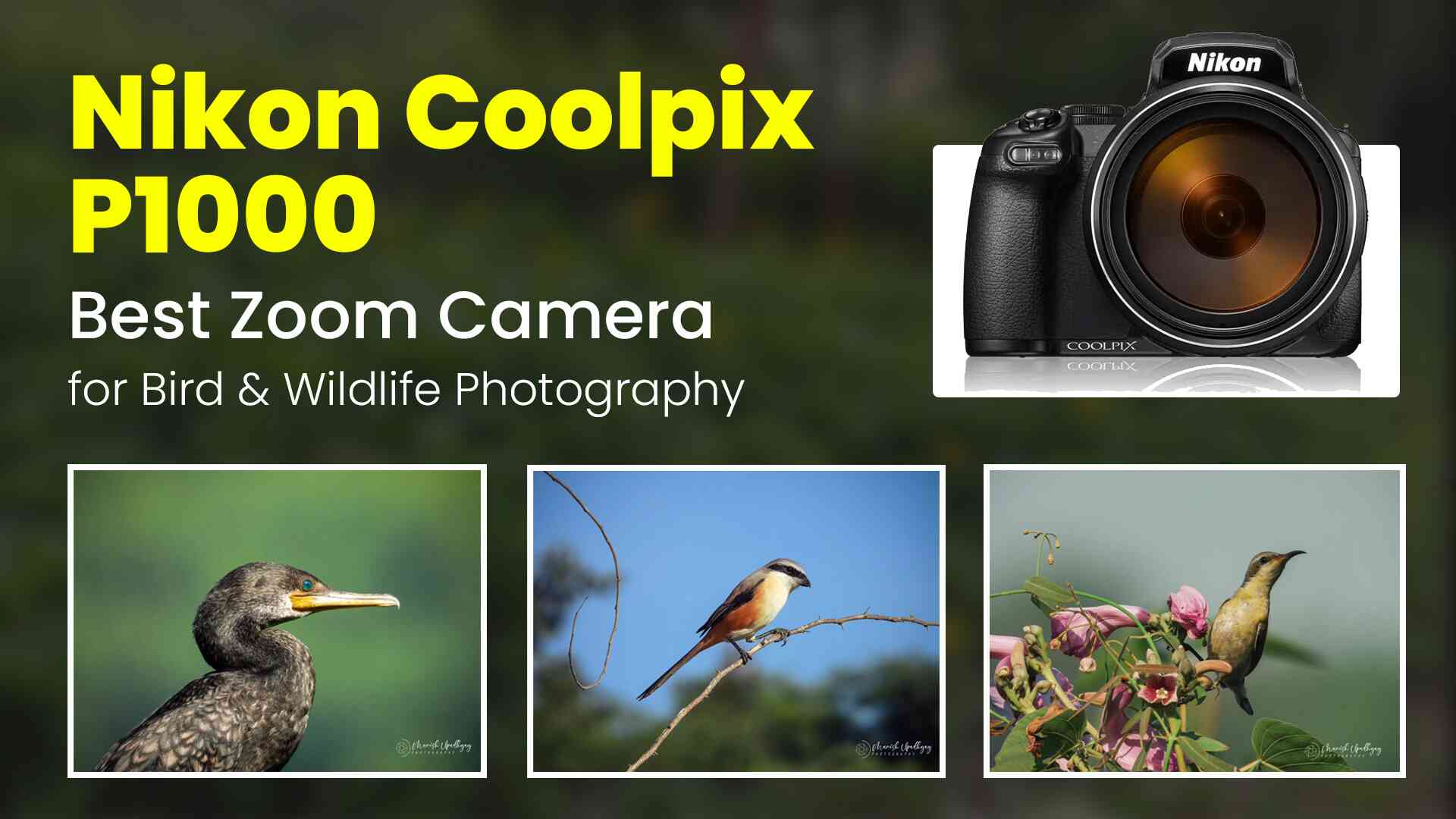 60x Zoom Camera