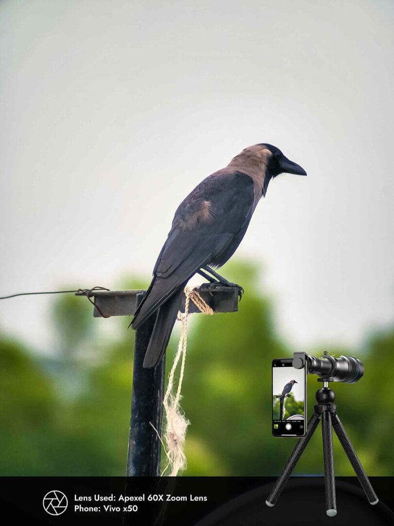 Apexel 60X Zoom Lens