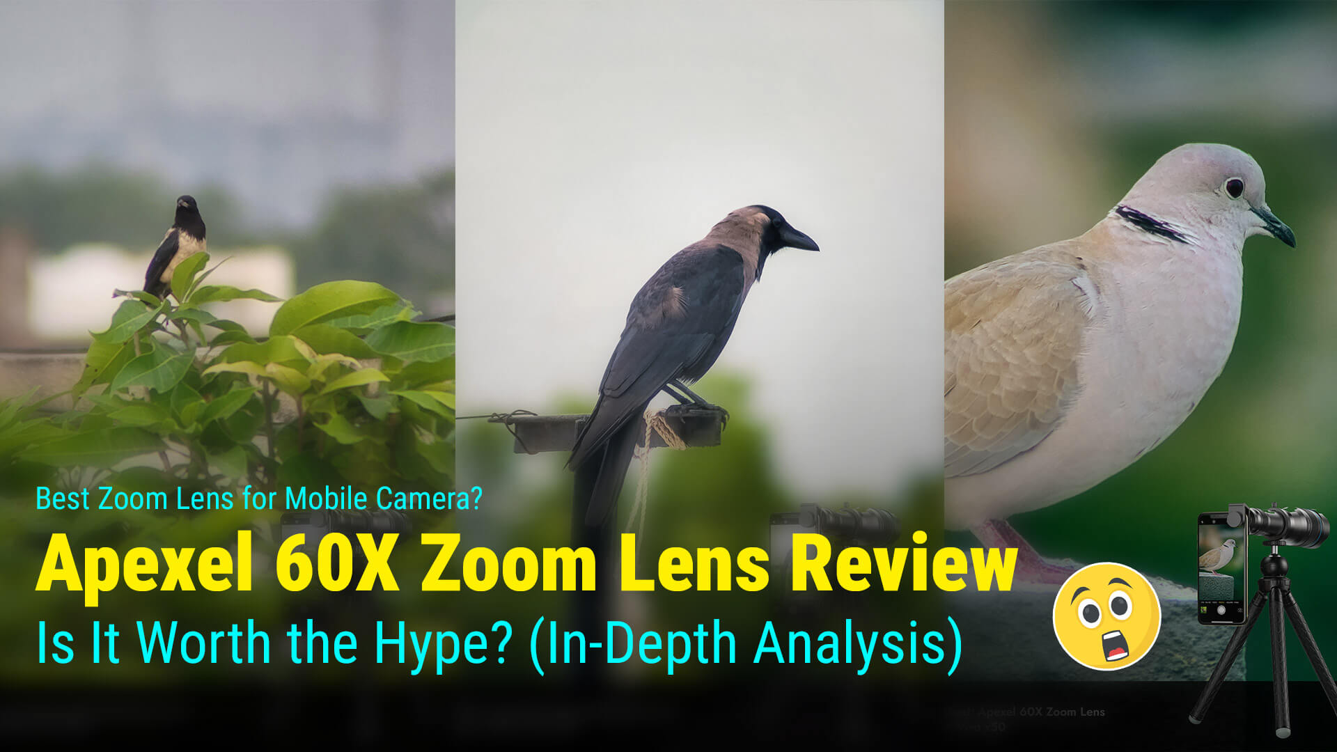 Apexel 60X Zoom Lens