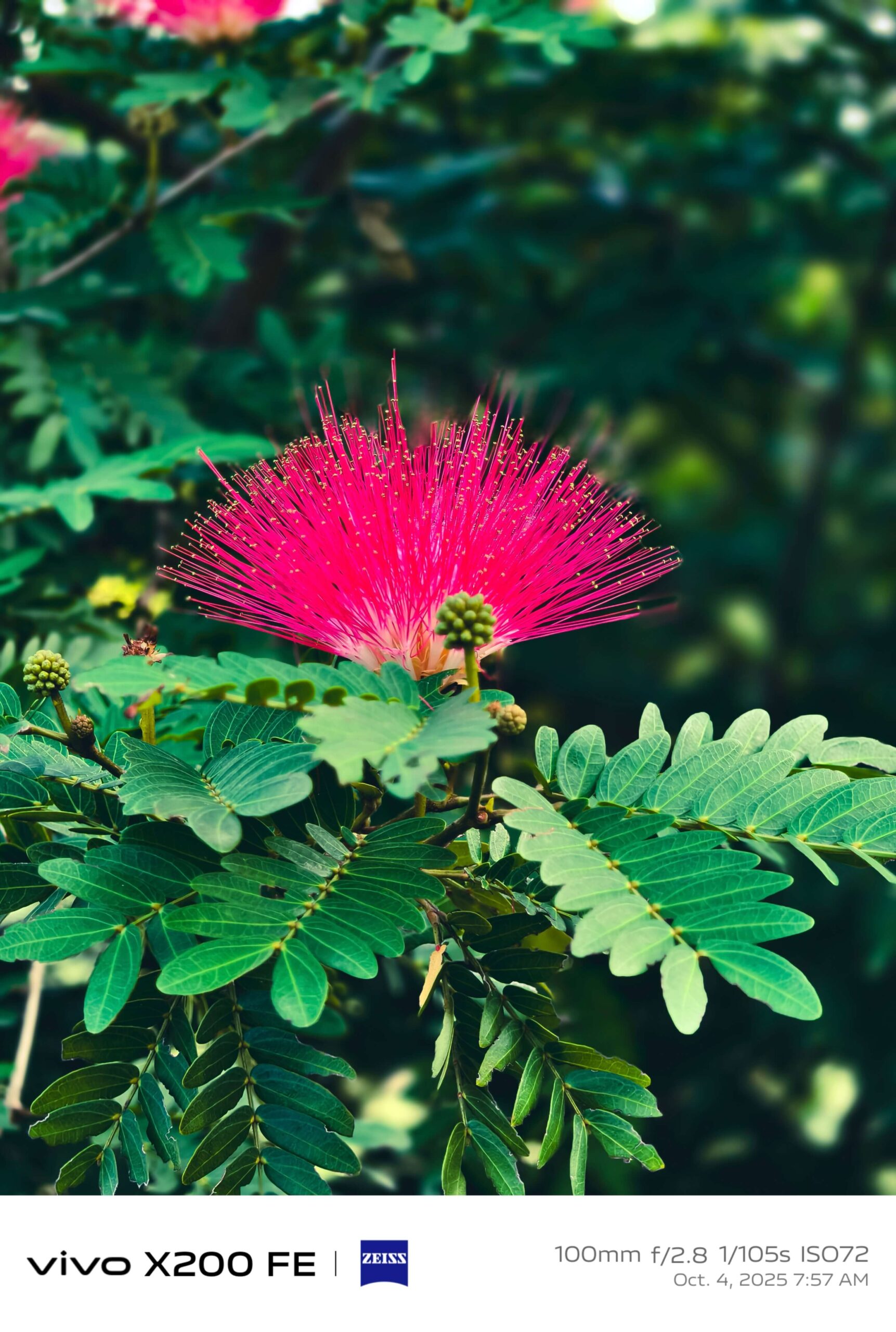 Best Camera Phone Under 50000