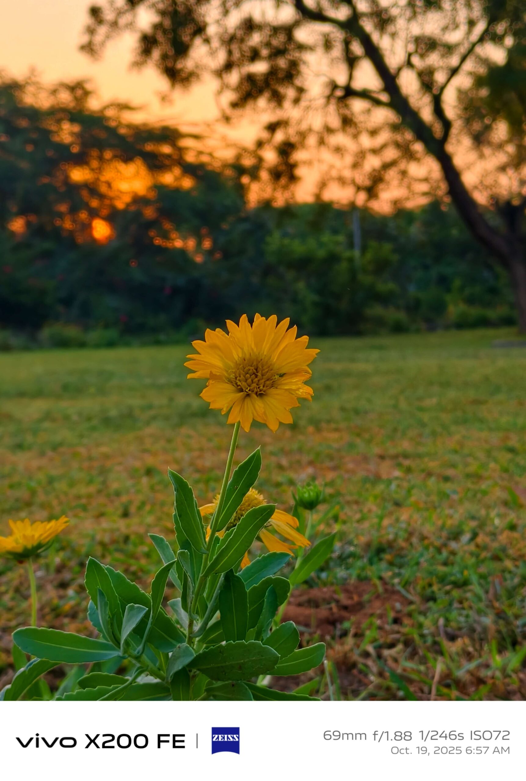 Best Camera Phone Under 50000