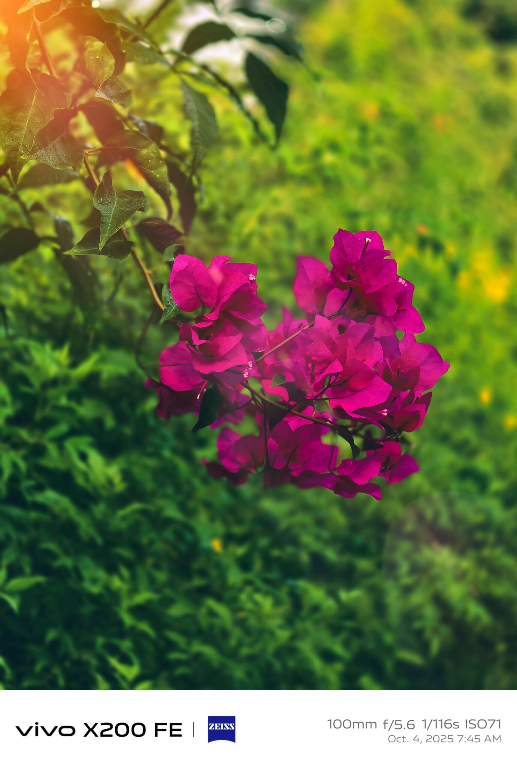 Best Camera Phone Under 50000