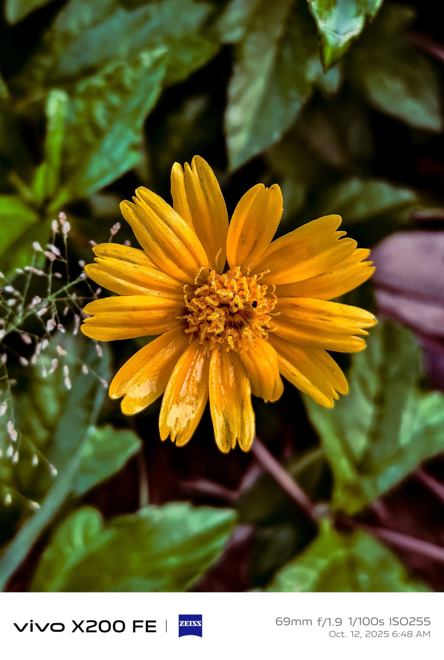 Best Camera Phone Under 50000