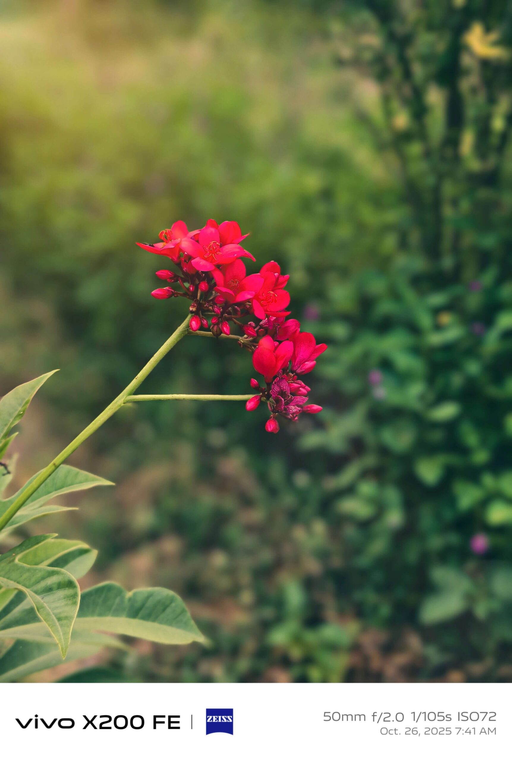 Best Camera Phone Under 50000