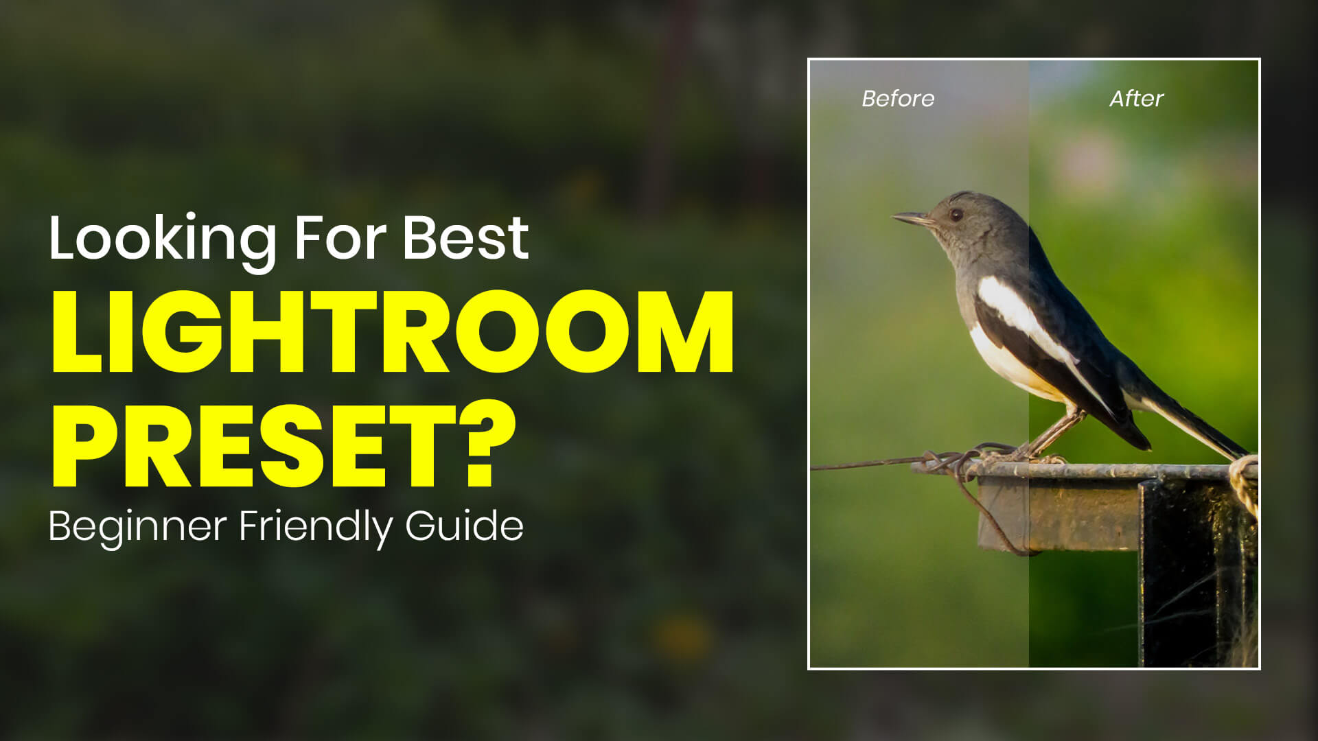 best lightroom presets for mobile photography 2025