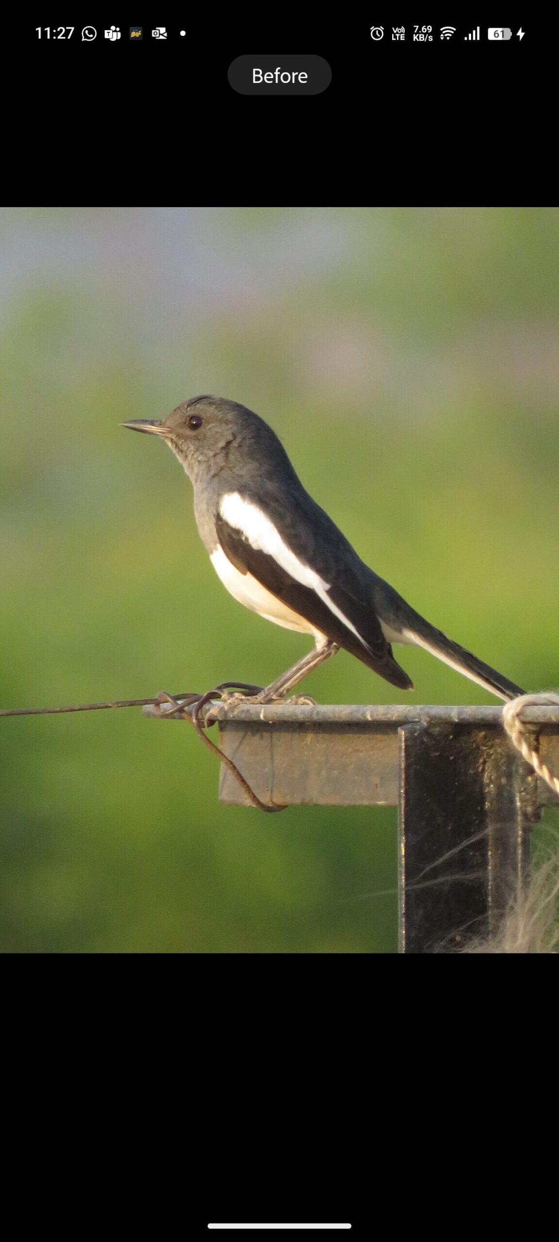 best lightroom presets for mobile photography 2025