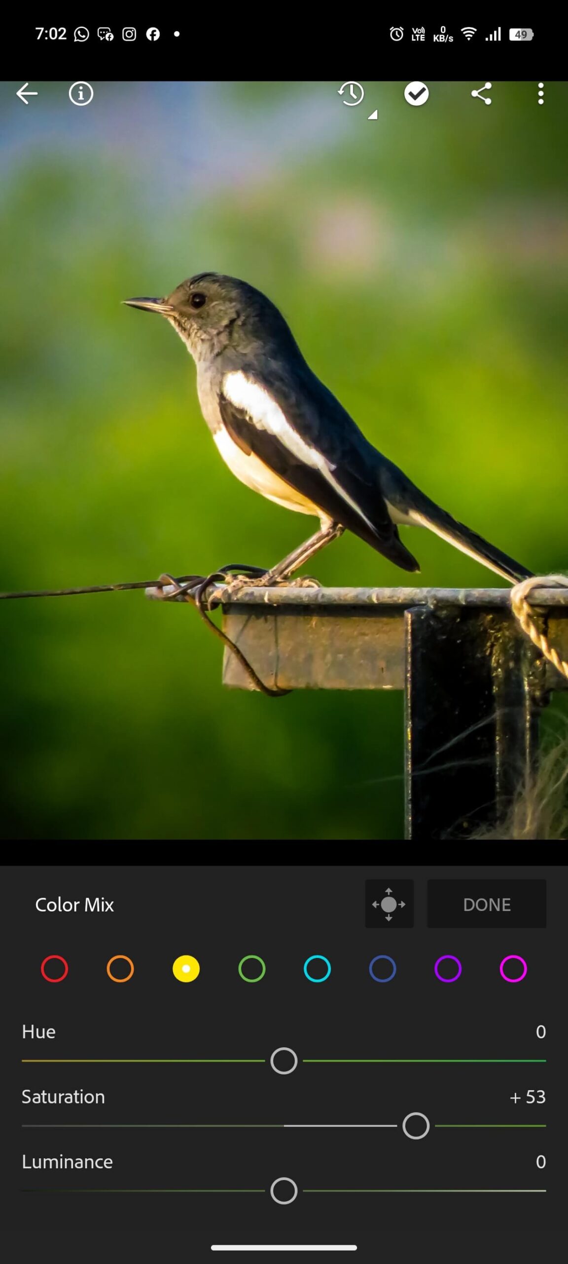best lightroom presets for mobile photography 2025