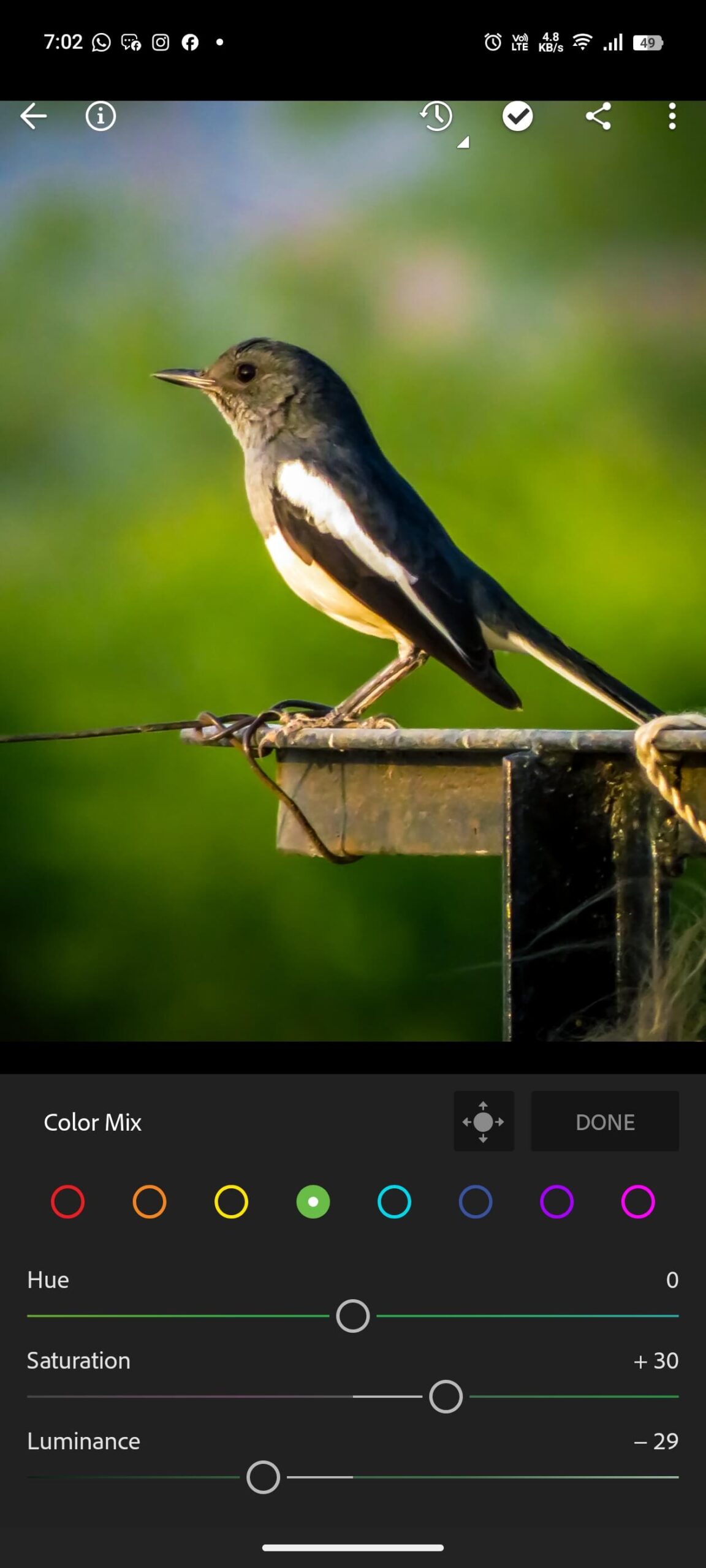 best lightroom presets for mobile photography 2025