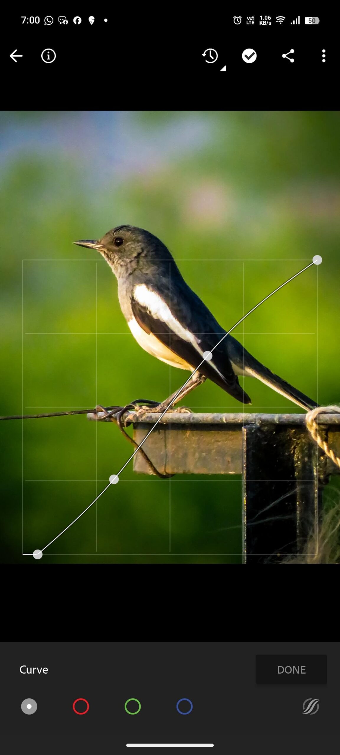 best lightroom presets for mobile photography 2025