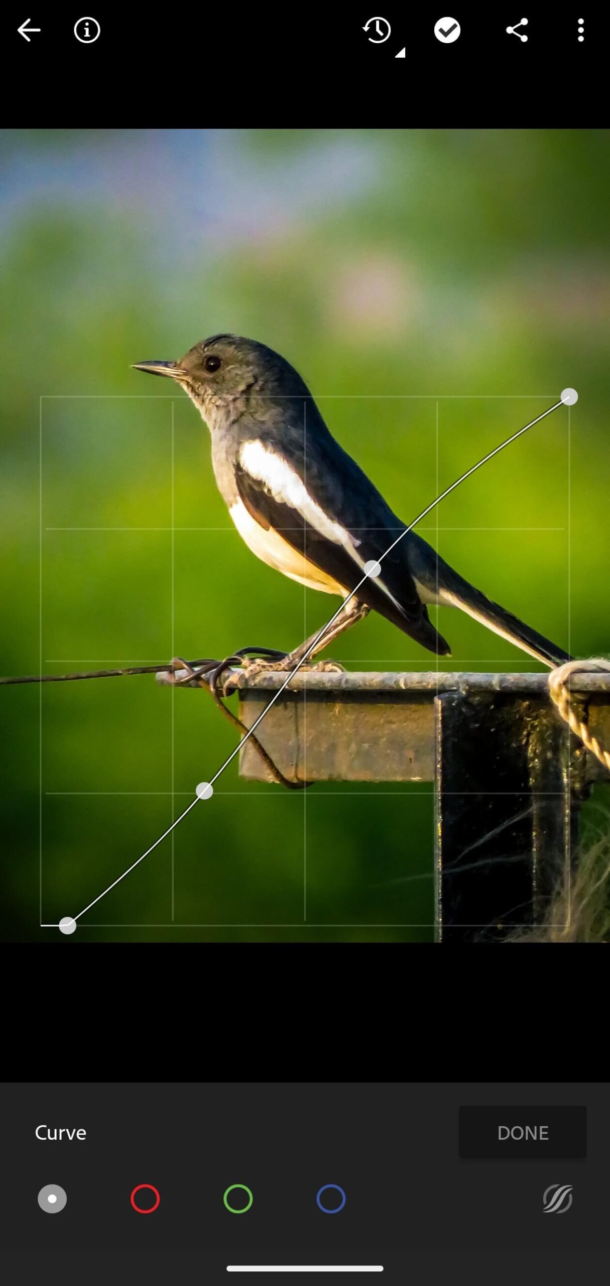 best lightroom presets for mobile photography 2025