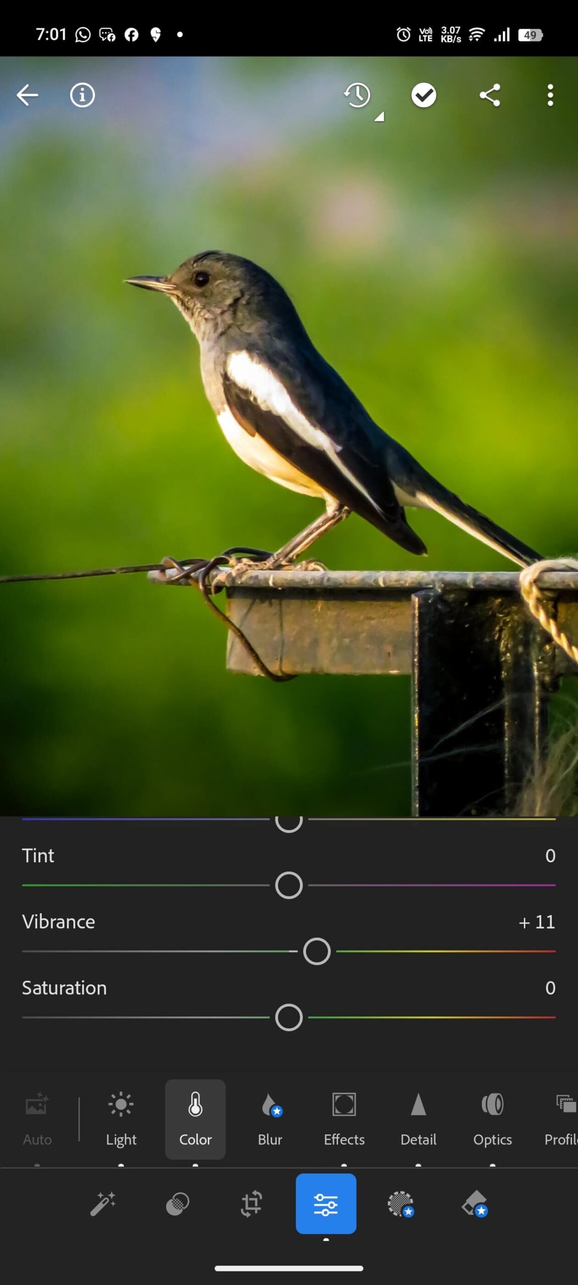best lightroom presets for mobile photography 2025